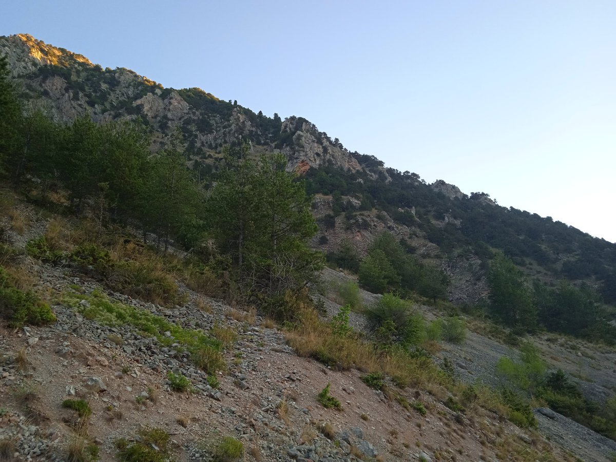 OutrasG's tweet image. Στιγμή από τον σημερινό, πρωινό περίπατο, βόλτα γυμναστική στο χωριό στο βουνό, στο Γαρδίκι Τρικάλων.

(Φωτογραφία 1).