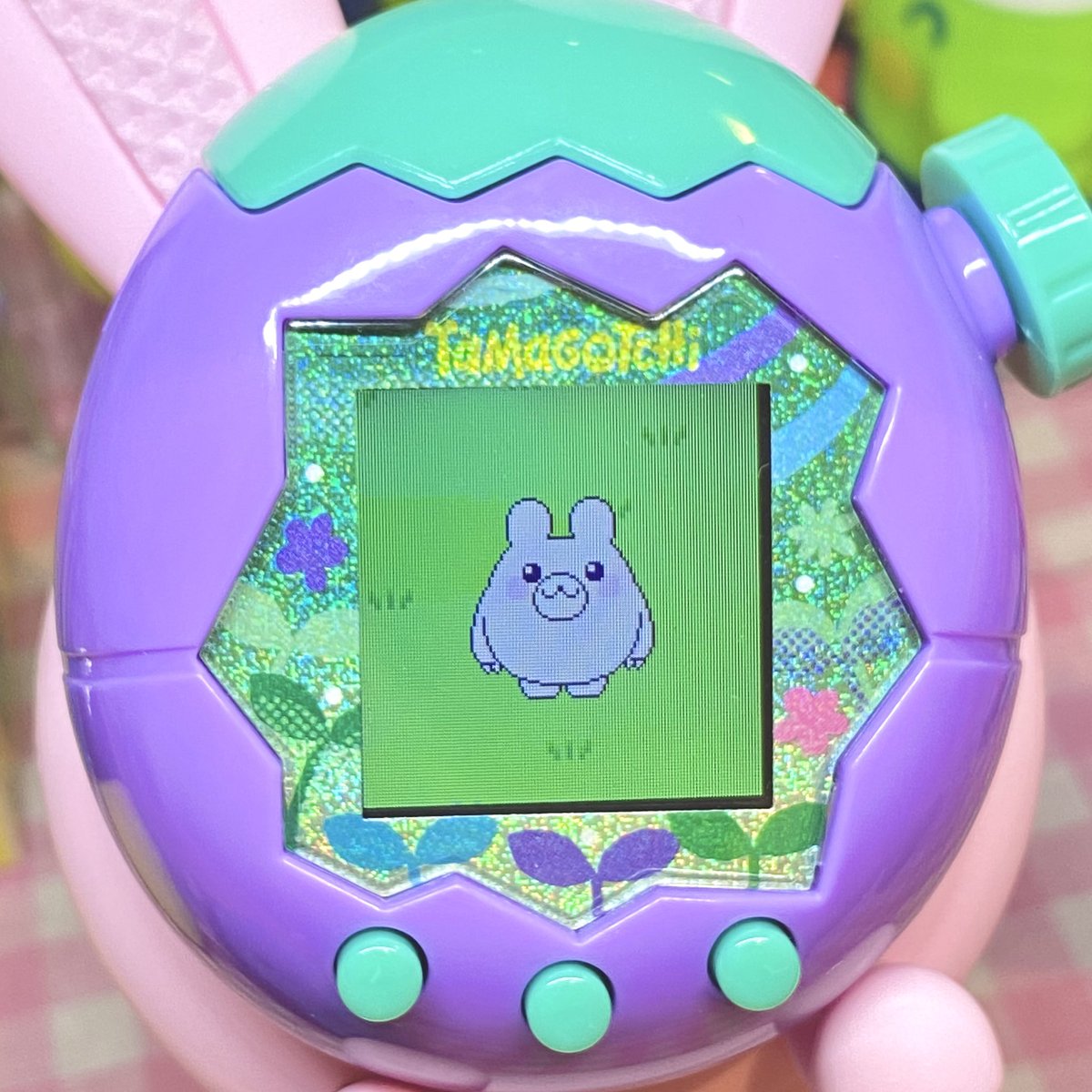 Tmgc_pome's tweet image. しろぐまっくす
