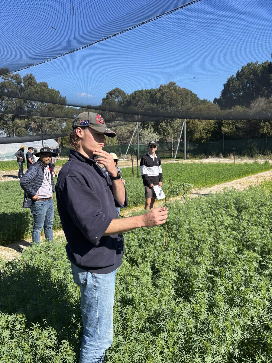 First day out in the FTA looking at our Lupin crops, already some interesting stuff going on, keep a lookout here to see as it develops 👀🚜
<a href="/Bec_Swift_/">Bec Swift</a> 
#farming 
#sendcletho360