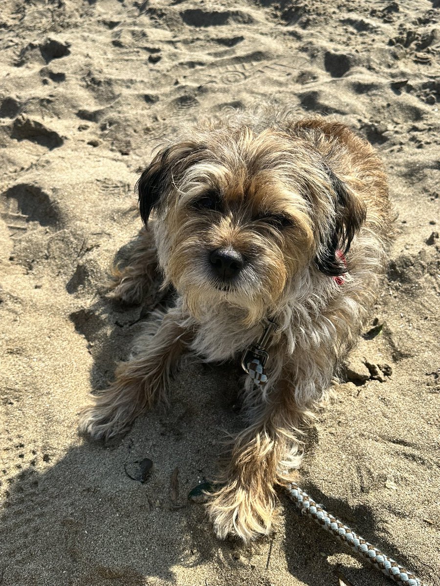 MossTheBT's tweet image. Rā whānau kia koe to your lovely mum, Bertie🎉🎉