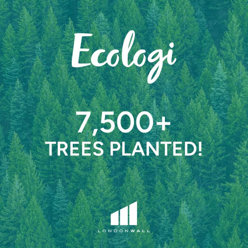 London Wall Design Ltd  has funded the planting of 7,565 trees across four global projects as part of its initiative with Ecologi➡️ barwellbusinesspark.co.uk/london-wall-su…