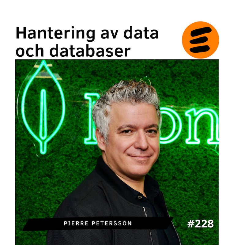 Hantering av data och databaser 🟢 Effekten Digitaliseringens radio  ▶︎ effekten.se/radio-player  ◀︎  #digitalisering #Hantering av data och databaser - 08:02