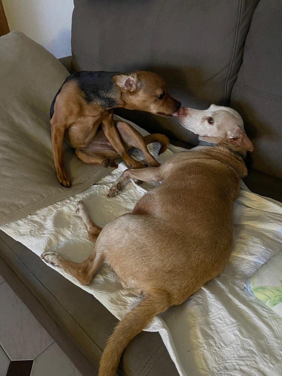 Aleix ⚔️ tweet media