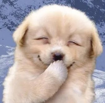 lisamjeong's tweet image. 