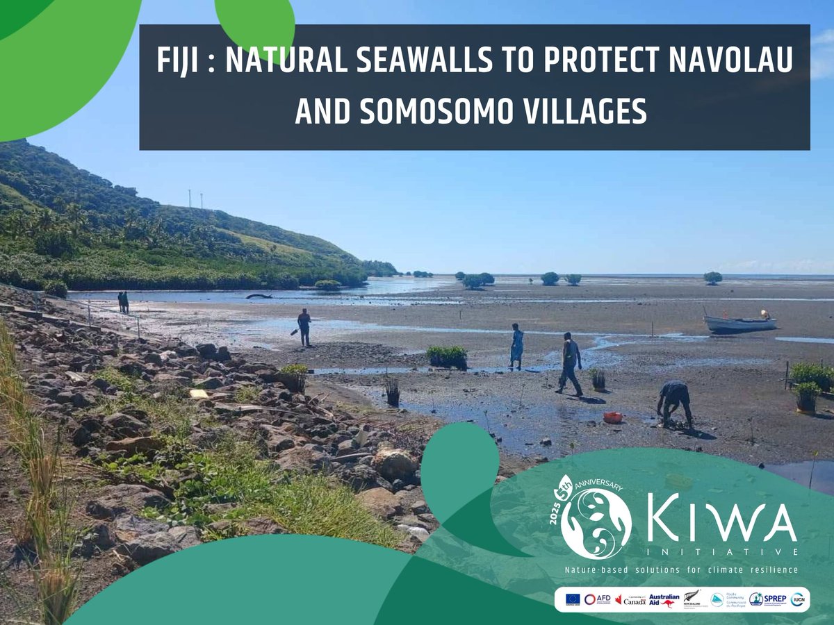 ✅ In Fiji, the MoWE project — led by the Ministry of Agriculture and Waterways &amp; supported by the #KiwaInitiative — has completed a natural seawall in Navolau &amp; is 80% done in Somosomo.  #NbS #Fiji 
More info: tinyurl.com/3ja25kfa