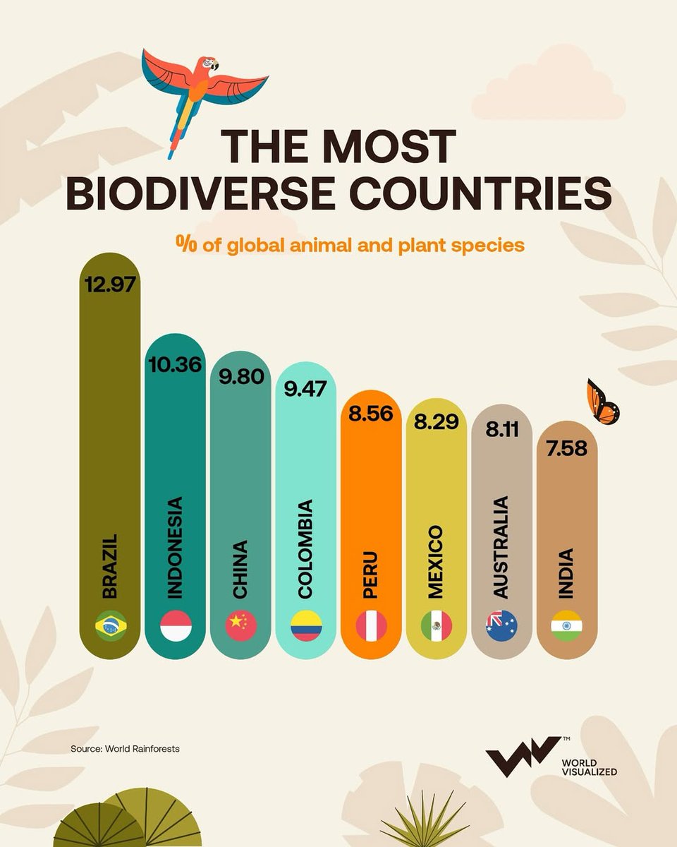 GaziKutlu's tweet photo. 🌿 Dünyanın En Biyolojik Çeşitliliğe Sahip Ülkeleri 🌿

Brezilya, dünya üzerindeki hayvan ve bitki türlerinin %13’üne ev sahipliği yaparak listenin zirvesinde. Onu Endonezya, Çin ve Kolombiya takip ediyor. 🌎

Arazi büyüklüğü kadar ekolojik zenginlik de önemli! Peru, Kolombiya ve Meksika orta ölçekli olmalarına rağmen ilk 8’de. 🐸🦜🌱
Kaynak: World Rainforests