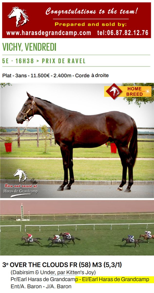 Congratulations #Over_The_Clouds, and team, 3rd Prix De Ravel / Vichy - 2025.07.25
Over The Clouds, born, raised and sold by HDG🙂
harasdegrandcamp.com/ventes/index.h…