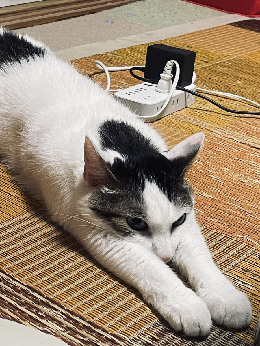 連日の猛暑、皆様お疲れ様です。

本日、第9回ブルタクラジオ、

21時45分スタート予定です。

よろしくお願いします☺️

＃劇団BLUESTAXI
#ブルタクラジオ