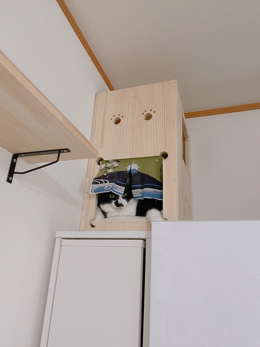 soraco0911's tweet image. 今日は婦人科
今まで飲んでたお薬、乳がんになった事で飲まない方がいいのかどうかの相談で
結果やめる方向に

そっちはそっちでお薬飲まないとどうなっていくのかの不安はあるけど、とりあえず乳がんの方を優先して治療しましょうって

病院の通り道での雲の景色が好き
帰ったらてんちゃん寛いでた