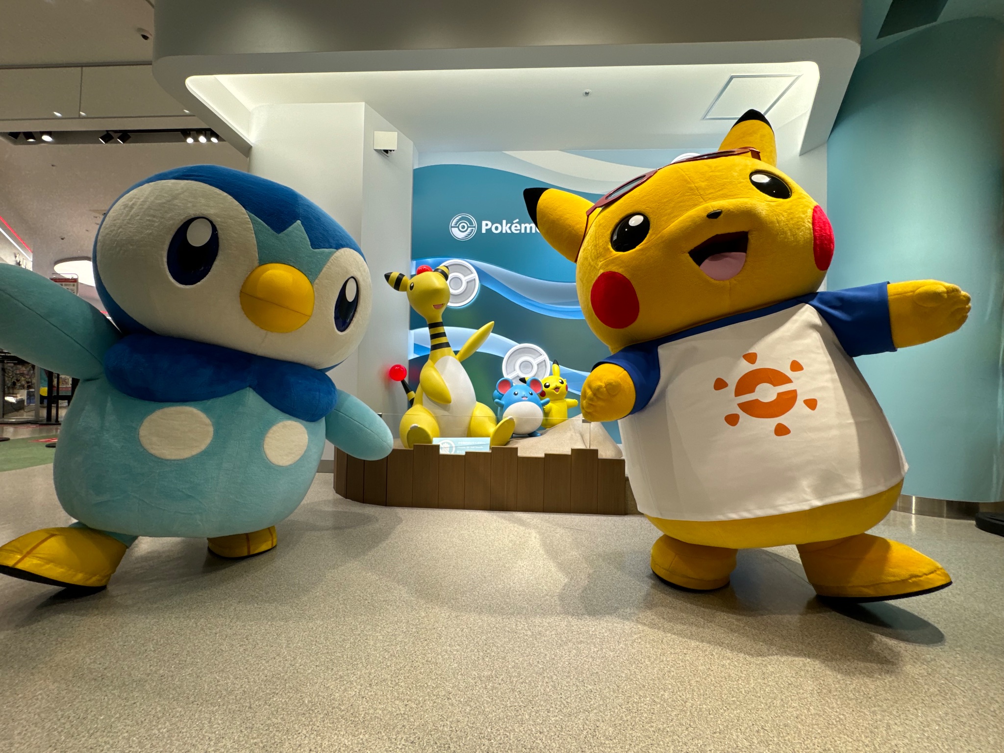 ポケモン　ポッチャマデイリーライフ　まとめ売り sddefault.jpg