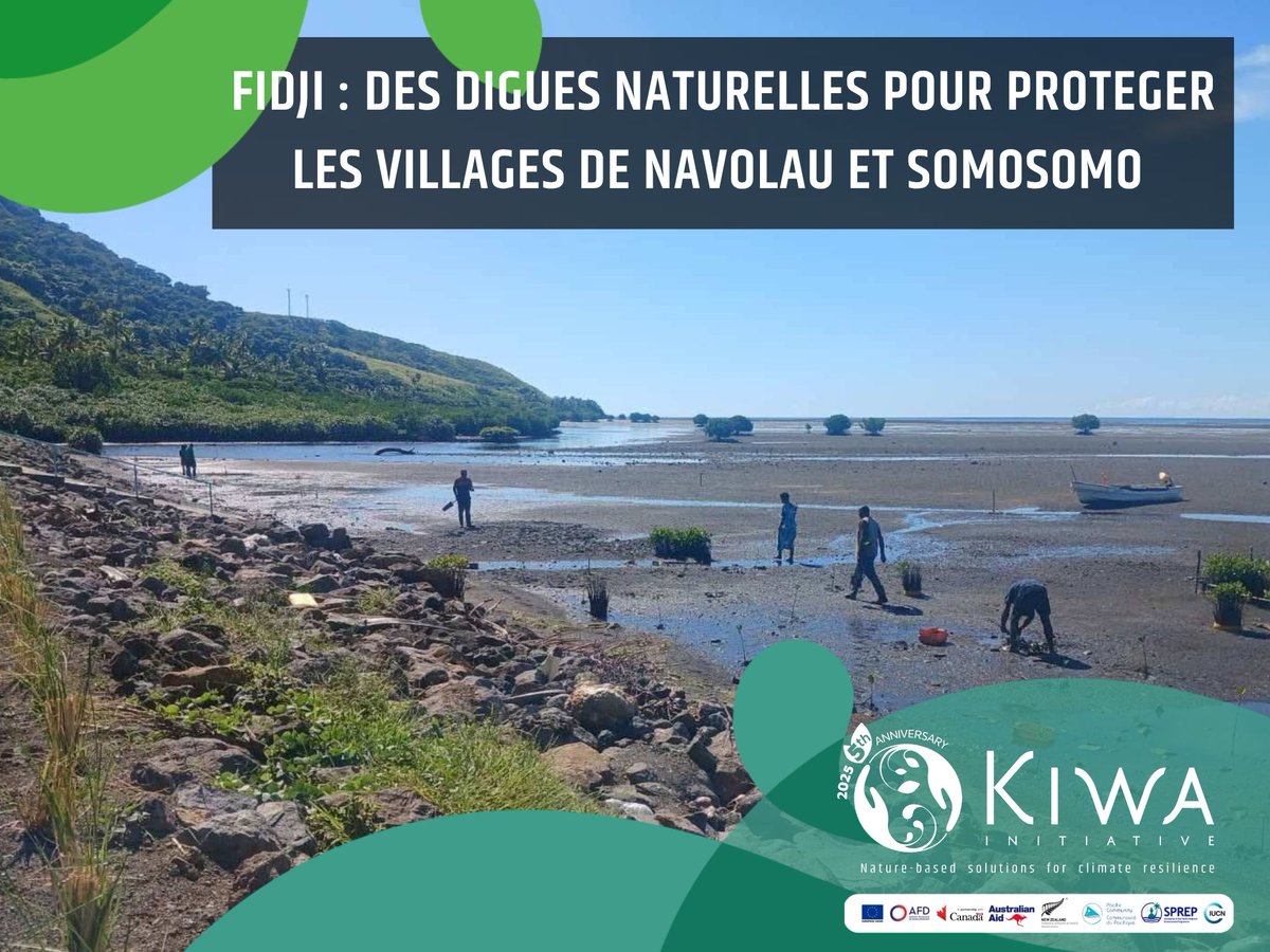✅ Aux Fidji, le projet MoWE – porté par le ministère de l’Agriculture et des Voies navigables &amp; soutenu par l’#InitiativeKiwa – a terminé sa digue naturelle à Navolau &amp; avance à 80 % à Somosomo. + d'infos ici tinyurl.com/yh5whrsa
#SfN #Fidji