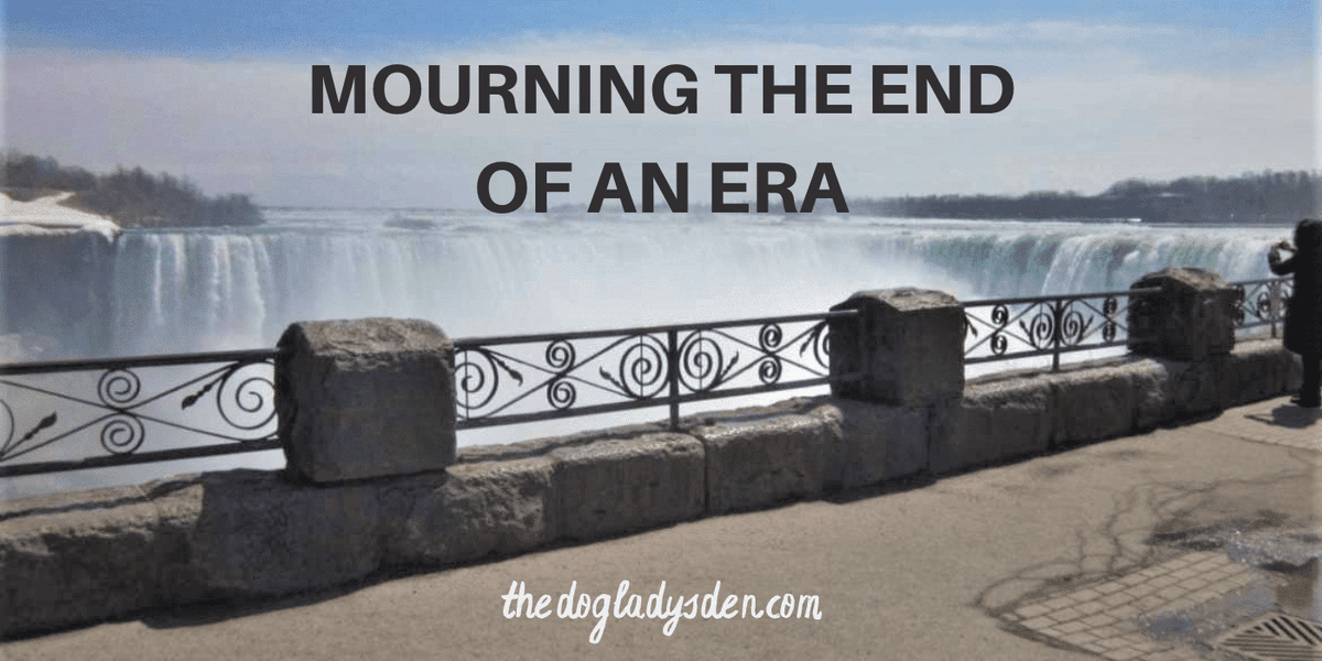 Debbie D. π¨π¦π©πͺ (@debbiedoglady) on Twitter photo MOURNING THE END OF AN ERA #ReviveOldPost #FromTheArchives of <a href="/DebbieDoglady/">Debbie D. π¨π¦π©πͺ</a> thedogladysden.com/end-of-an-era/β¦ #dogladysden MOURNING THE END OF AN ERA #ReviveOldPost #FromTheArchives of <a href="/DebbieDoglady/">Debbie D. π¨π¦π©πͺ</a> thedogladysden.com/end-of-an-era/β¦ #dogladysden