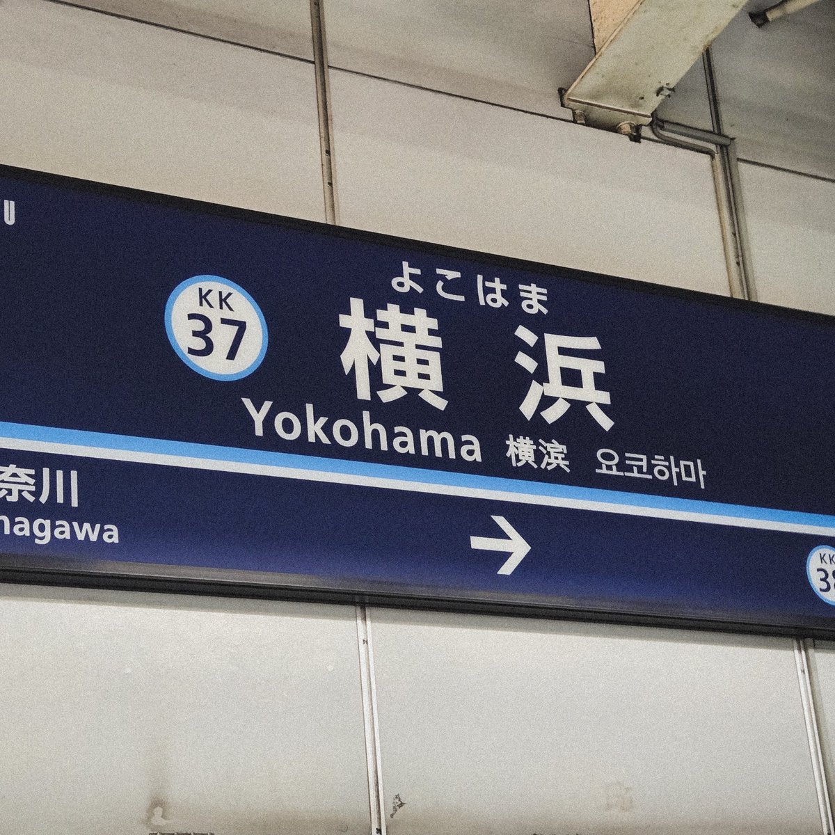 _gyocar's tweet image. 初はま