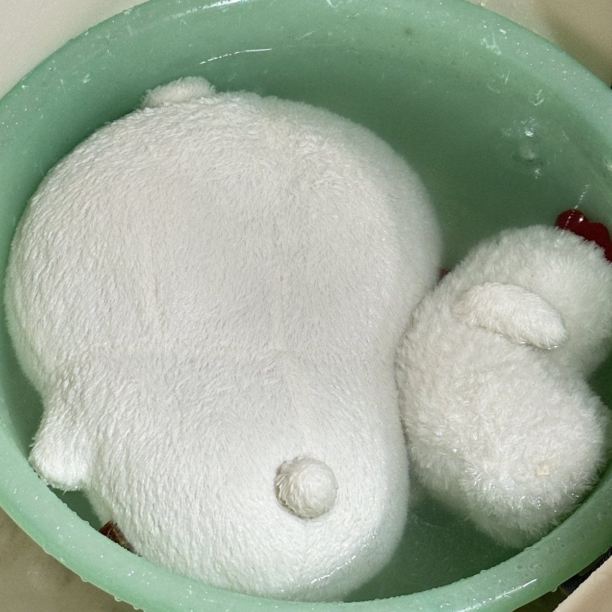 ttulla_gom's tweet image. 곰 너 말이지... 너무 때가 탔어...