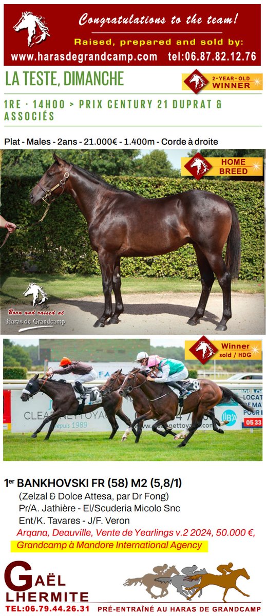 Congratulations #Bankhovski- 2yo, and team, 1st Prix Century 21 Duprat &amp; Associés / La Teste - 2025.07.27
Bankhovski, born, raised, sold &amp; pre-trained by HDG🙂
The details of the next winners, soon on the ring of Arqana and BBAG sales, are online 😉: 
harasdegrandcamp.com/ventes/index.h…