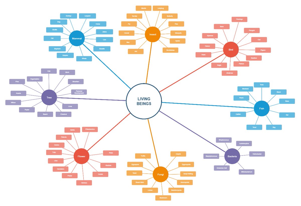 ProcessOn's tweet photo. 🕸️ Turn scattered thoughts into clear ideas with spider diagrams! Use #ProcessOn to build, style &amp; share your map in minutes. Fast, visual, effective.

✨https://t.co/a1zJ8B59cz

#spiderdiagram #mindmap #education #Management 
#plan https://t.co/uJqgKbyAin