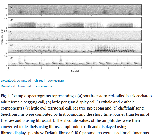 MonashBiol's tweet image. Can we extend passive acoustic monitoring of wildlife to individual monitoring? Lifi Huang and co-authors show that features learned by models pretrained on bird species data can be transferred to individual classification tasks with minimal effort. sciencedirect.com/science/articl…