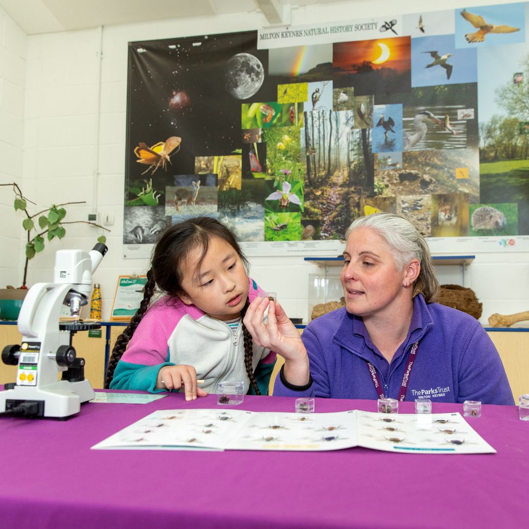 TheParksTrust's tweet image. Our popular Open Mornings are back for the school holidays!
Join us at Howe Park Wood this week to discover the fascinating world of mammals and take part in a range of free wildlife themed activities.
Find out more: ow.ly/qhB250WrJu4