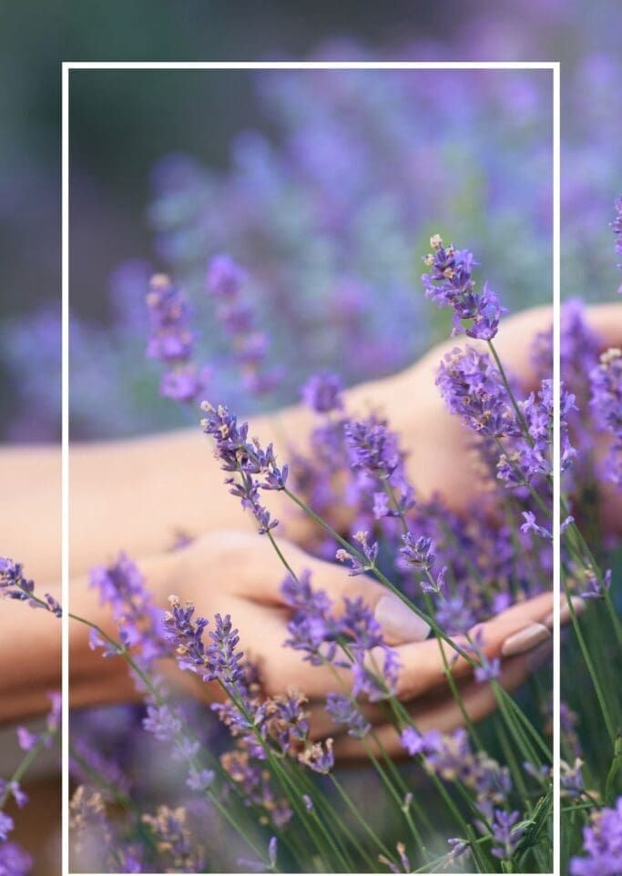 من لا يتألم لا يتعلم ، فالألم هو أقوى حافز للتغيير نحو الأفضل🫟🪻