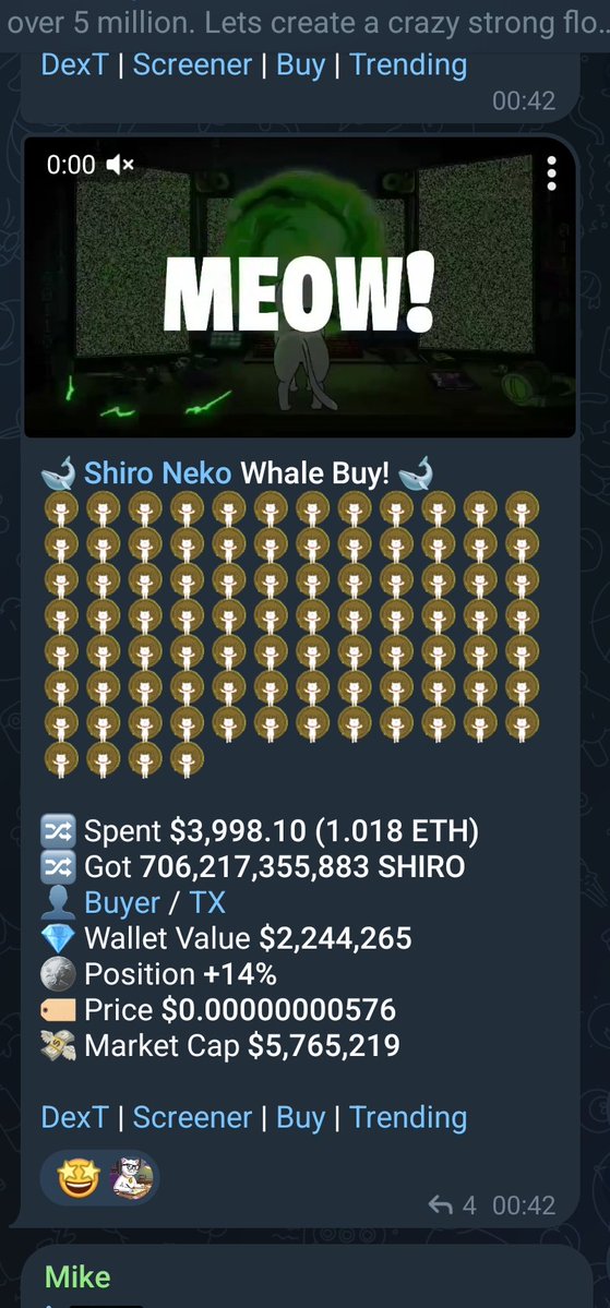 shiro's tweet image. 2 Million Dollar wallets loading the $Shiro floor and you're #Sidelined?
Couldn't be me! This cat is about to go wild! Meow!