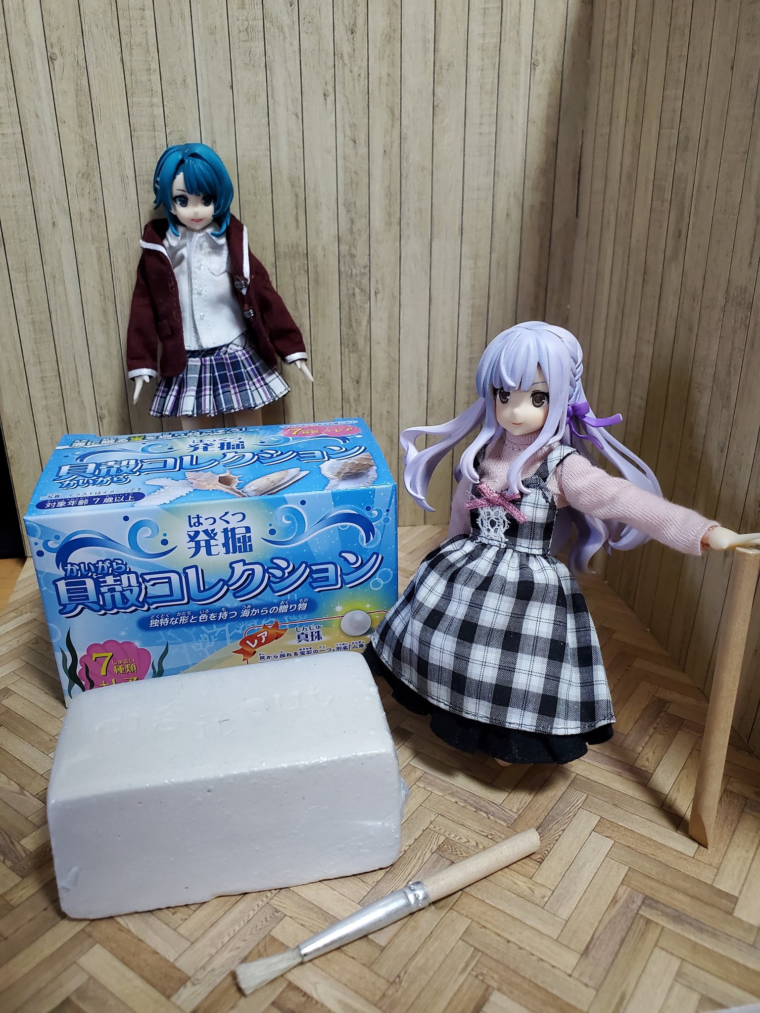 貝殻　まとめ売り　レア 貝殻 まとめ売り - メルカリ