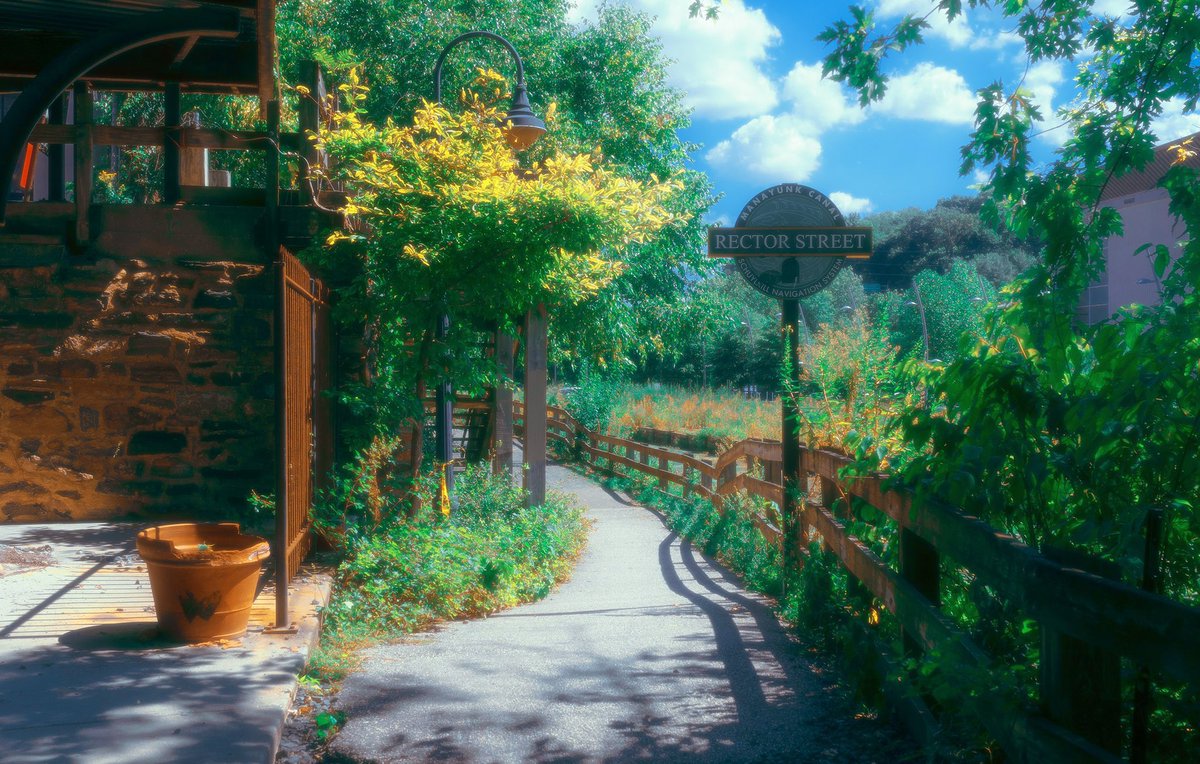 orestemercado's tweet image. Photos that feel like an anime