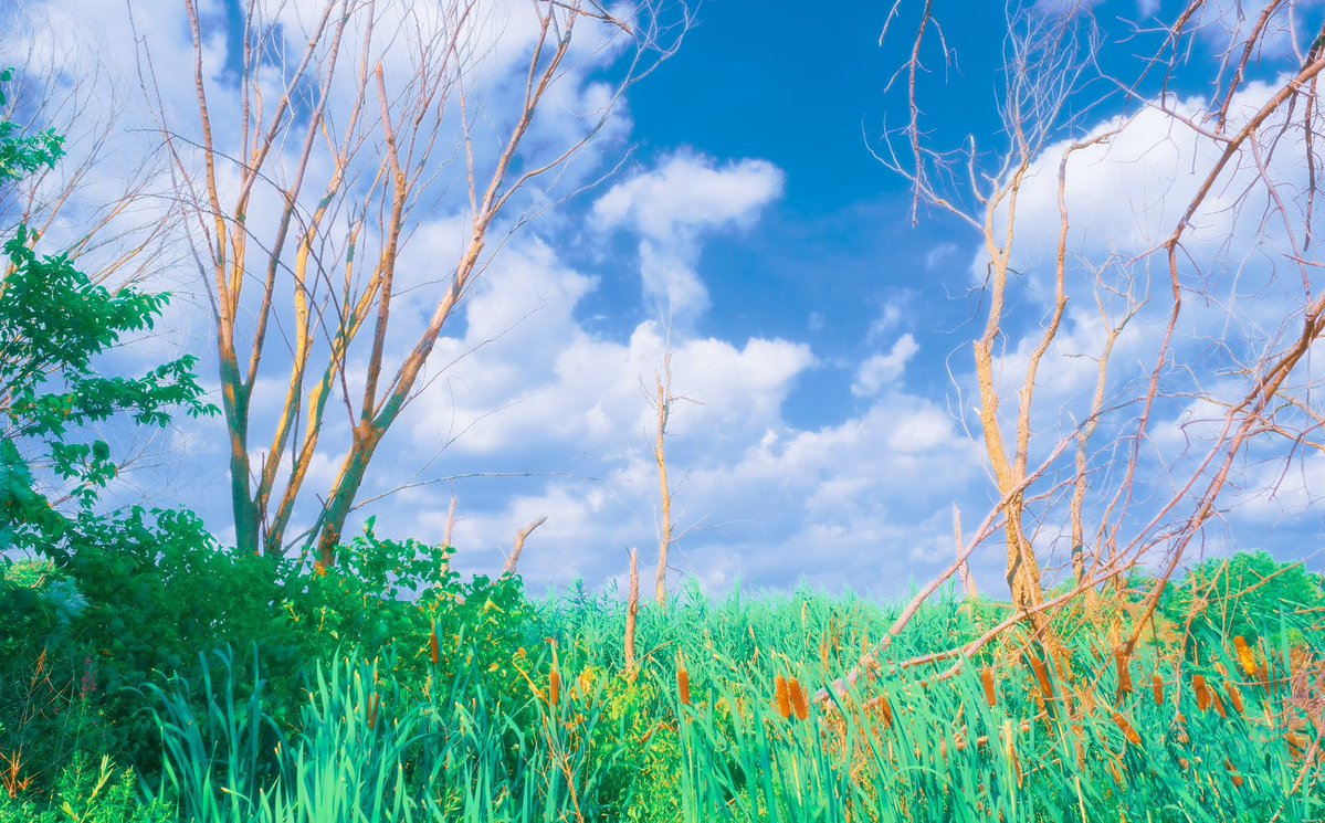 orestemercado's tweet image. Photos that feel like an anime