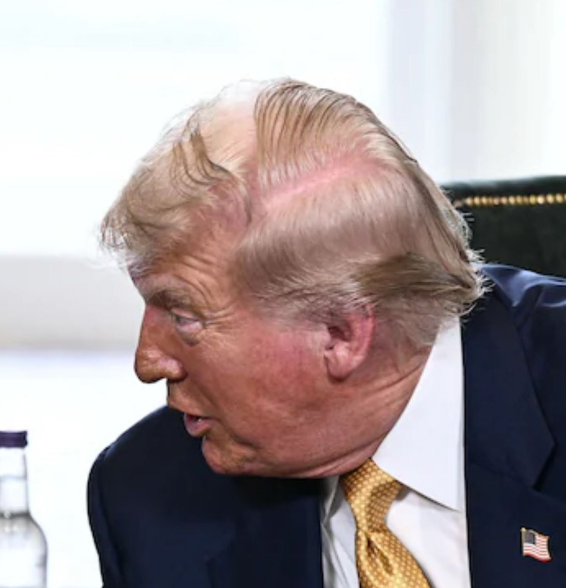 RightsLGBTI's tweet image. Trainwreck bouffant!