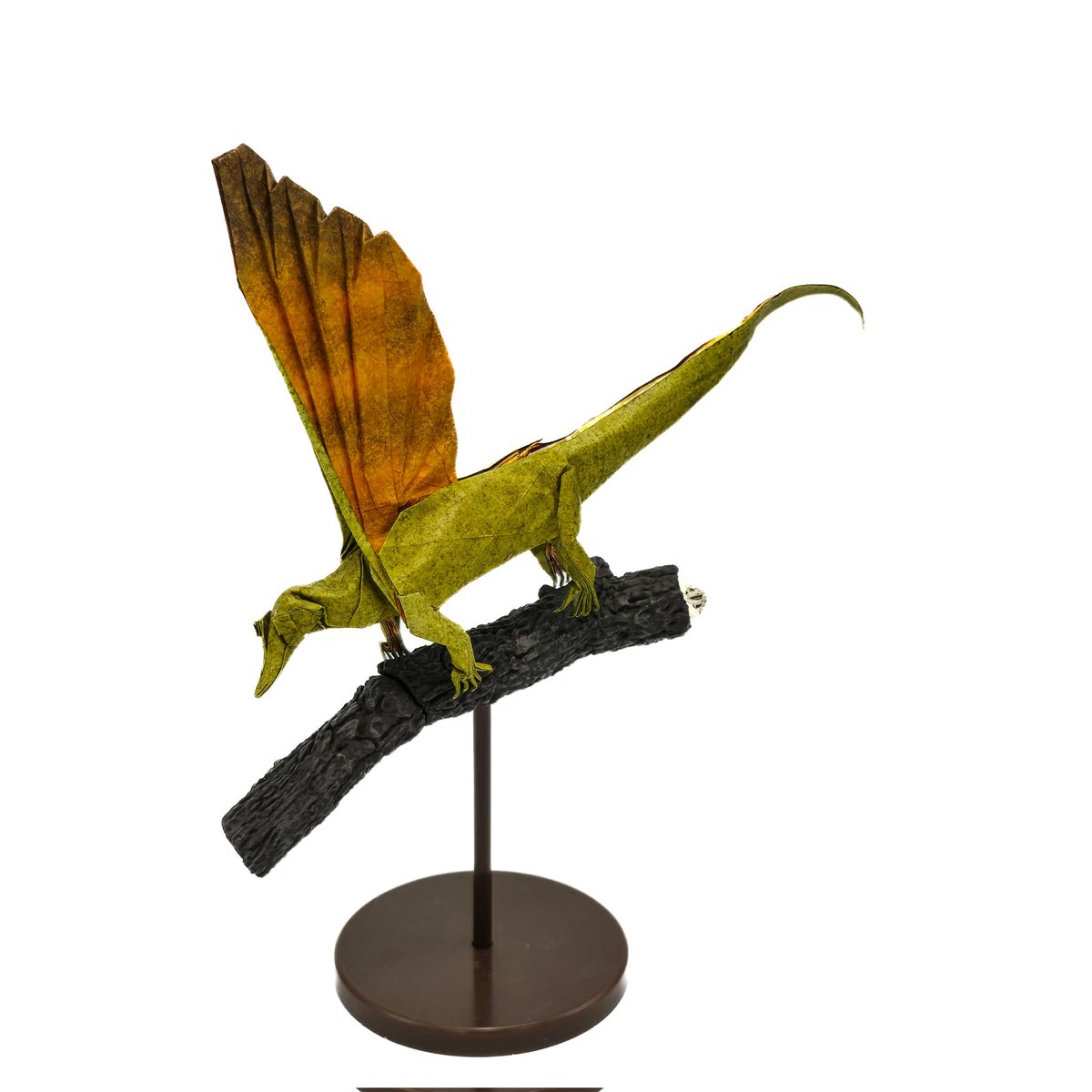 Mirasaura grauvogeli

Designed &amp; folded by me
24x24cm dyed foil paper
.
.
.
#origami #折り紙 #paleoart #jurassicworld #prehistoricplanet