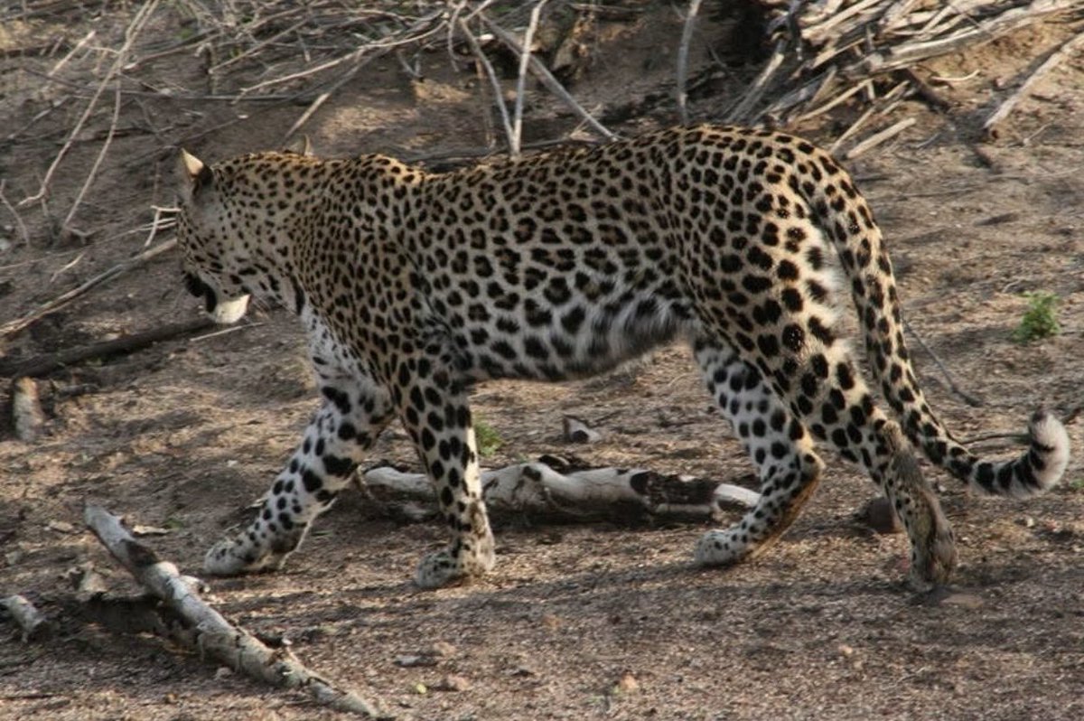 Good morning bahlali 
Spotty in da house👌🏿
#Myoffice
📍KNP