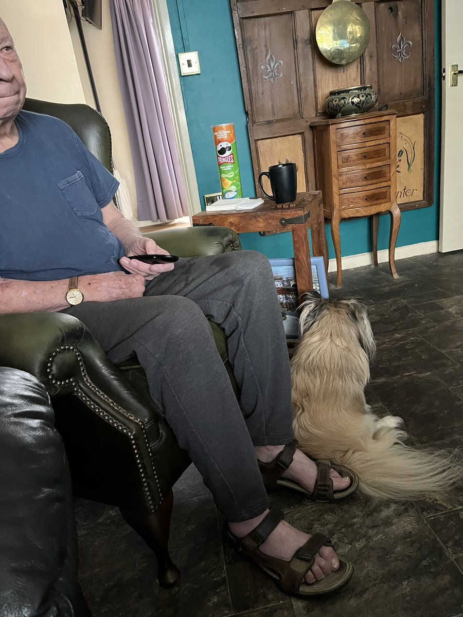 HagwithAttitude's tweet image. Call me daft if you want, but I trust dogs! I get up a few hours before Husband. Shut the bedroom door, me and Connor have lounge. This morning Connor cried and cried to get to Husband, and now won’t leave him! I am watching Husband even more today!