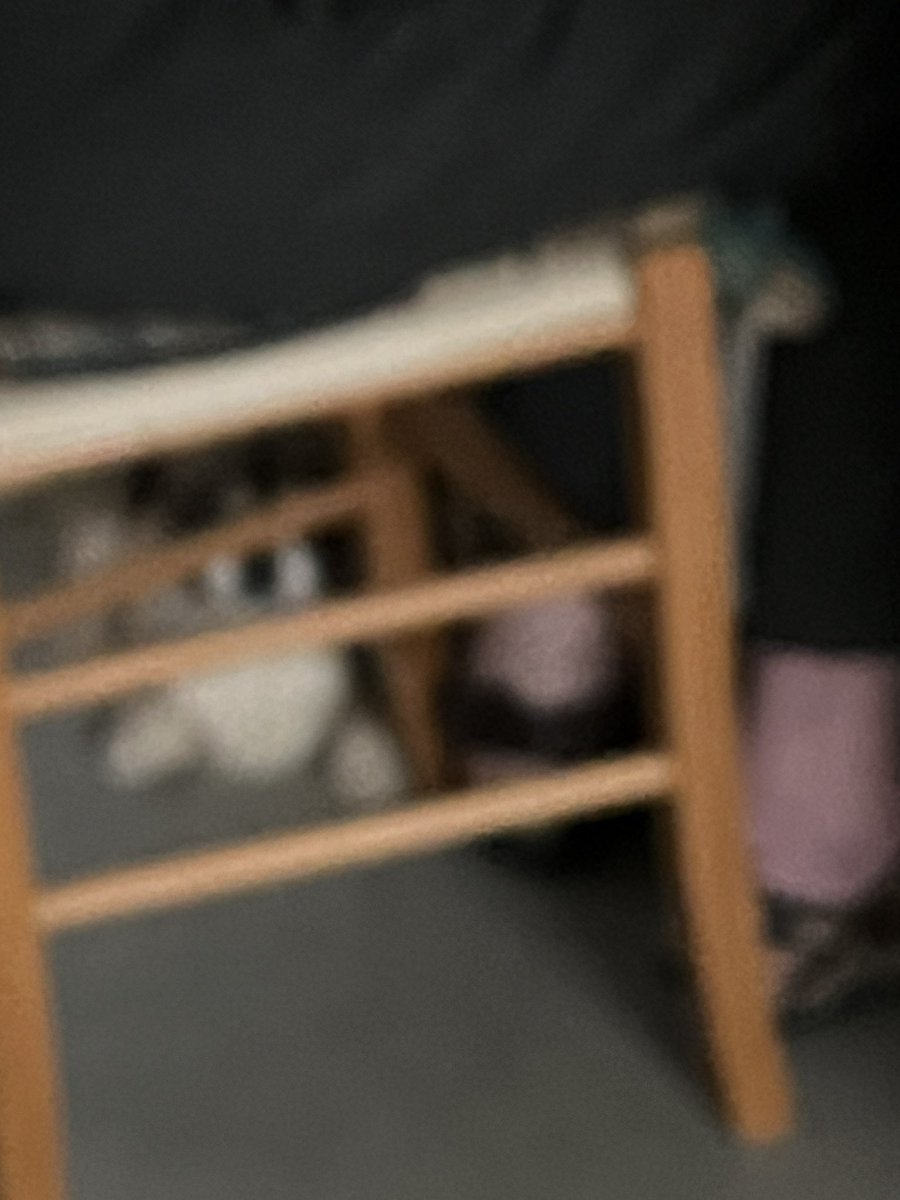 HagwithAttitude's tweet image. Call me daft if you want, but I trust dogs! I get up a few hours before Husband. Shut the bedroom door, me and Connor have lounge. This morning Connor cried and cried to get to Husband, and now won’t leave him! I am watching Husband even more today!