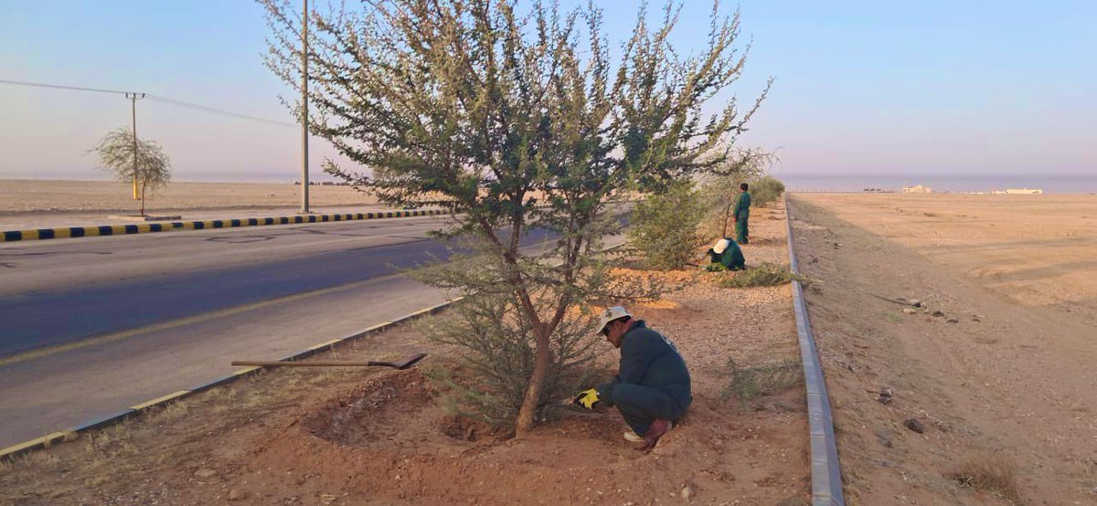 ummkhonsar's tweet image. #صور
تواصل #بلدية_أم_خنصر أعمال صيانة الأحواض الزراعية وتهذيب الأشجار في الشوارع والميادين، ضمن جهود تحسين المشهد الحضري ورفع مستوى جودة الحياة.
#بلدية_أم_خنصر
#أمانة_منطقة_الحدود_الشمالية
