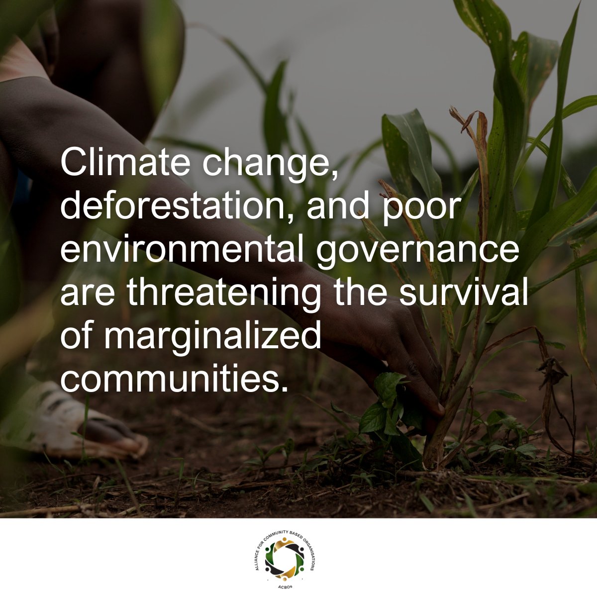 AllianceofCBOs's tweet photo. Let’s stand together to defend our natural resources. By building resilience to both environmental and man-made disasters, and empowering communities to take the lead in decision-making, we can create a future rooted in justice and sustainability.
#climatejustice #climate #acbos https://t.co/HZIyRfYEF0