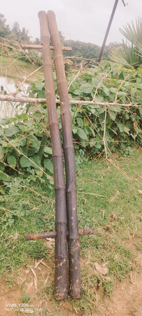 ମହି....
 ଧୀରେ ଧୀରେ ବିଲୁପ୍ତ ହଉଥିବା ଜିନିଷ....

#ଗାଁ