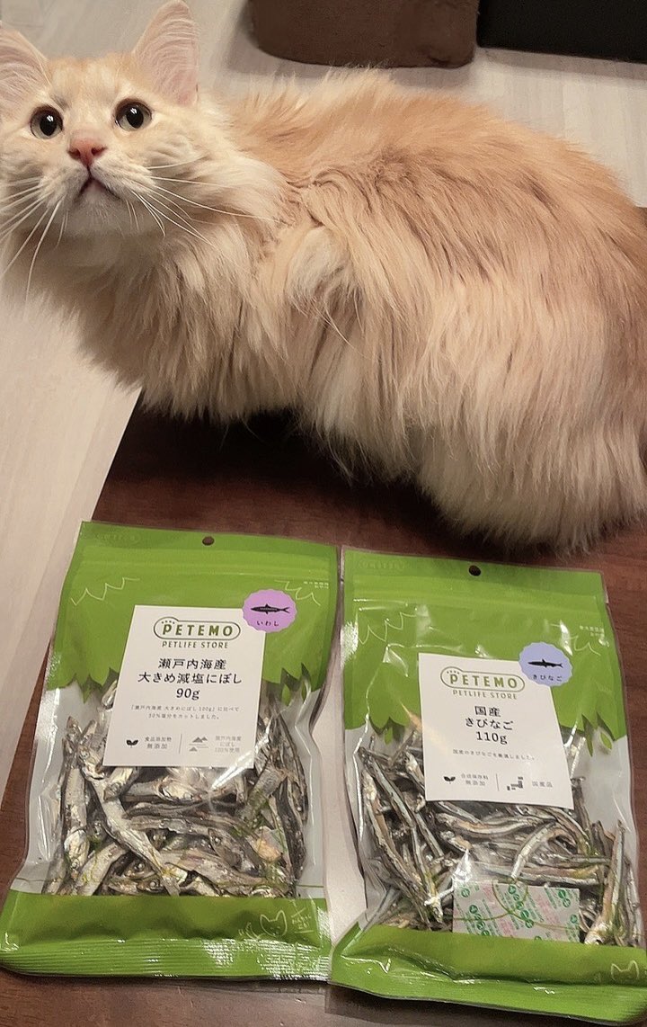 家庭用ライオン - Search / X