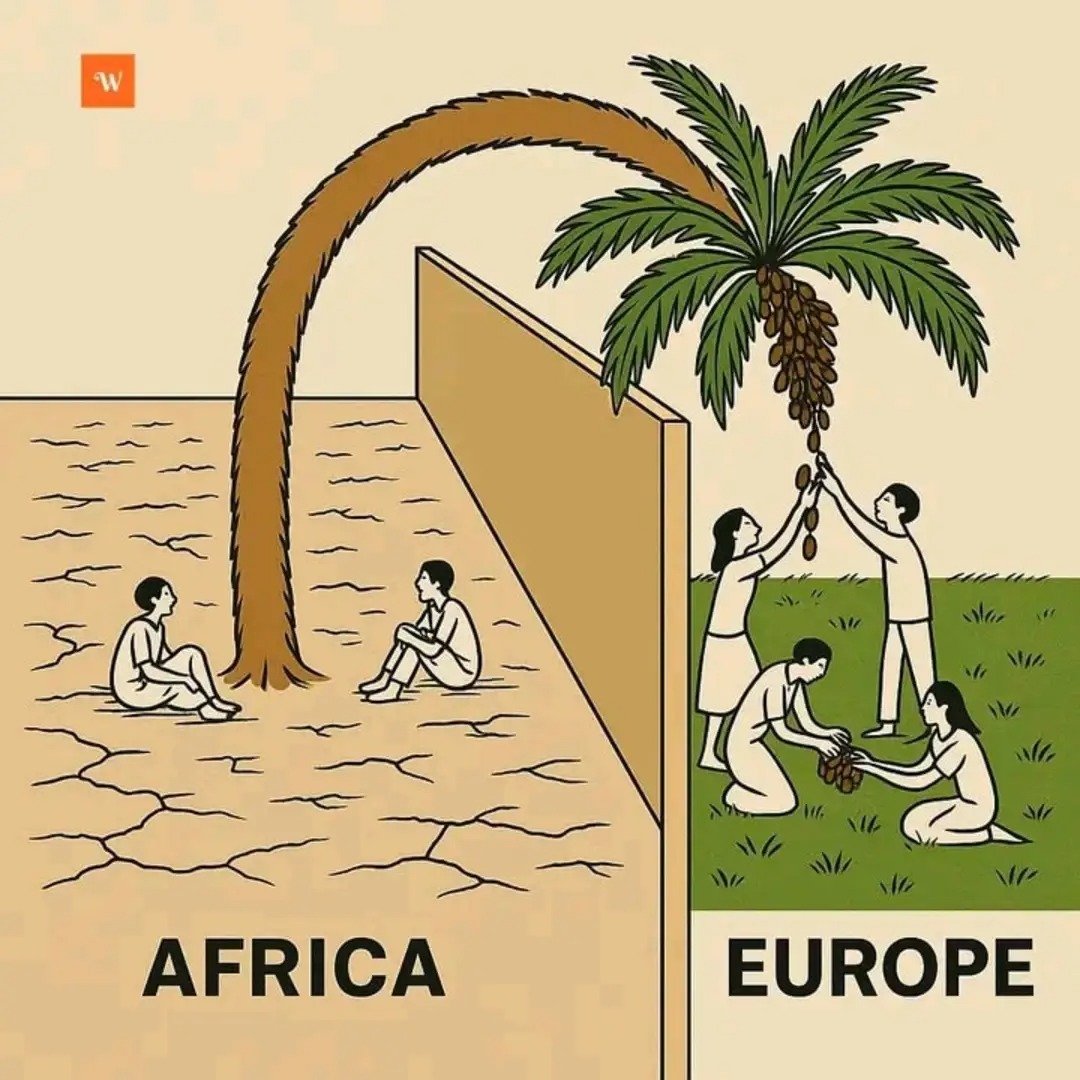 Africans! "When will this end?