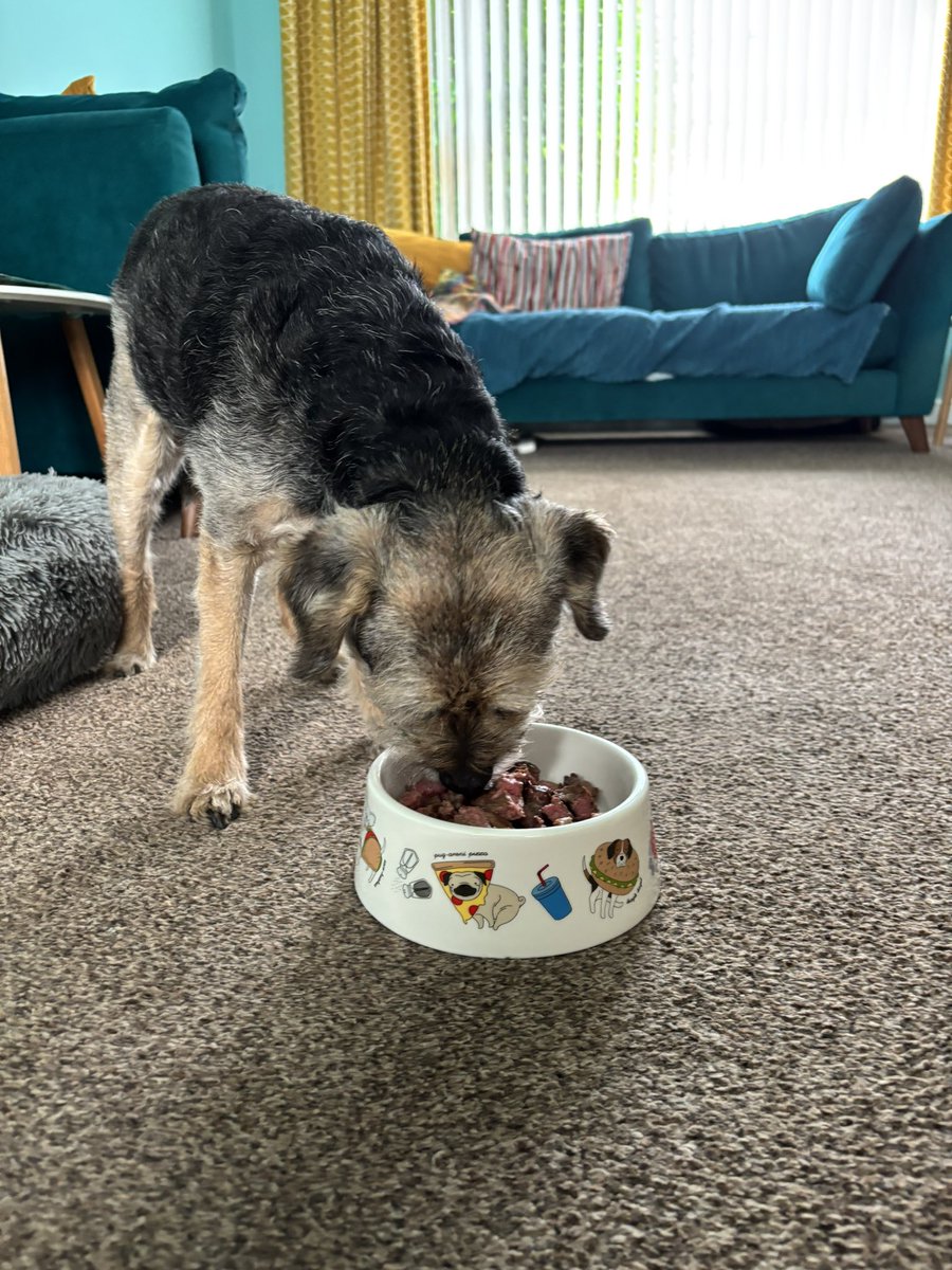13 today 🥳 I got my birthday steak early last night 😁