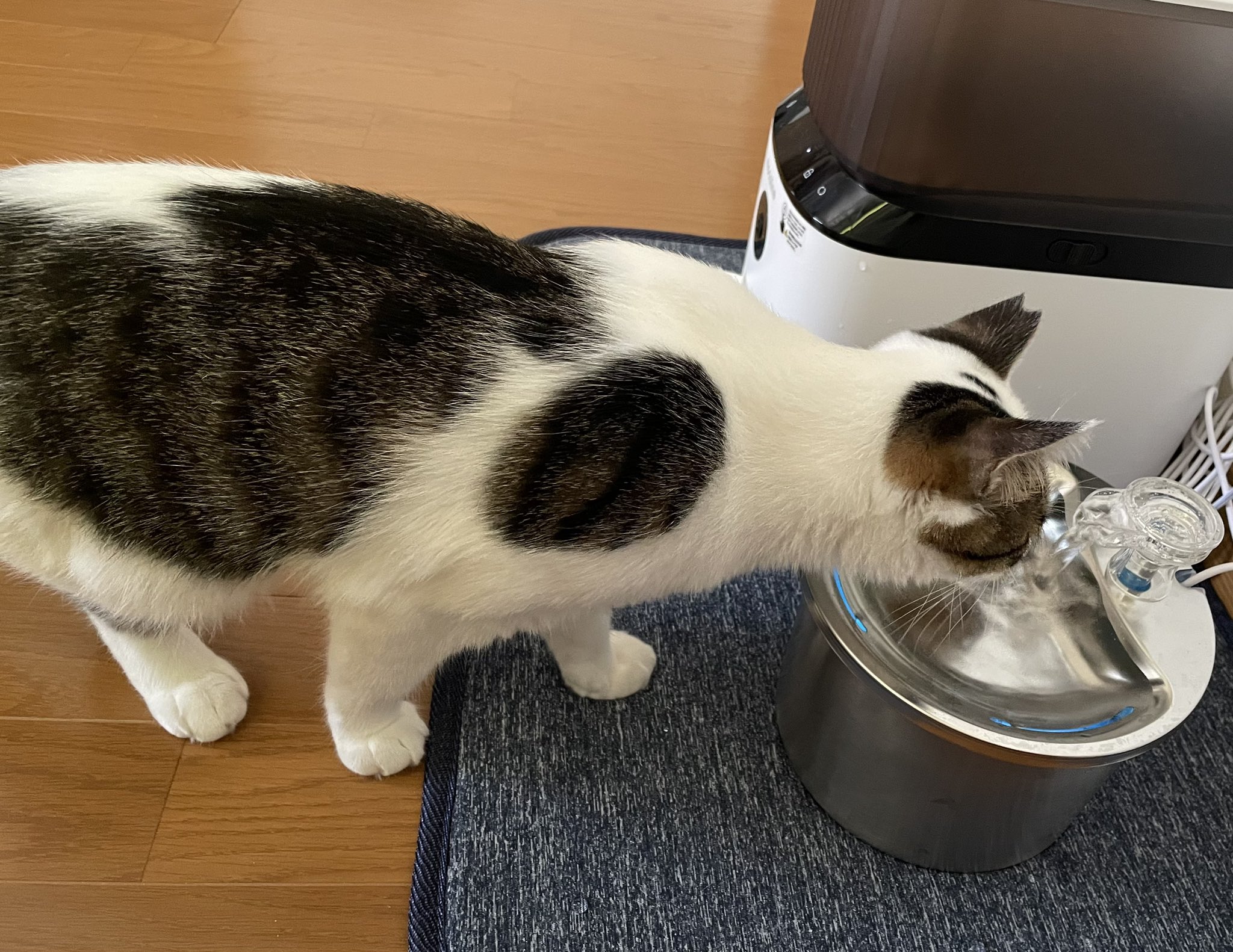 ラッキー！送料無料！9kg180束入りお姫さまマーク手延そうめん ラッキー送料無料！9kg180束入りお姫さまマーク手延そうめん