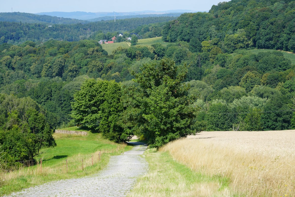 Forstler1's tweet image. Landschaft im Osterzgebirge. Hier beginnt ganz behutsam das Elbsandsteingebirge, es tauchen im Wald immer mal erst kleinere, dann größere Sandsteinfelsen auf. 

Die Straße gehört zu Bad Gottleuba und heißt Thomas-Müntzer-Straße, nach dem Prediger und Anführer des Bauernkrieges.…