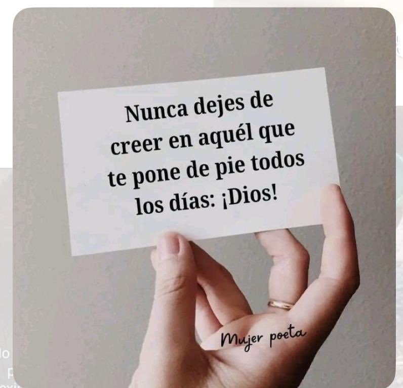 CidEloisa's tweet image. Nunca dejes de creer…