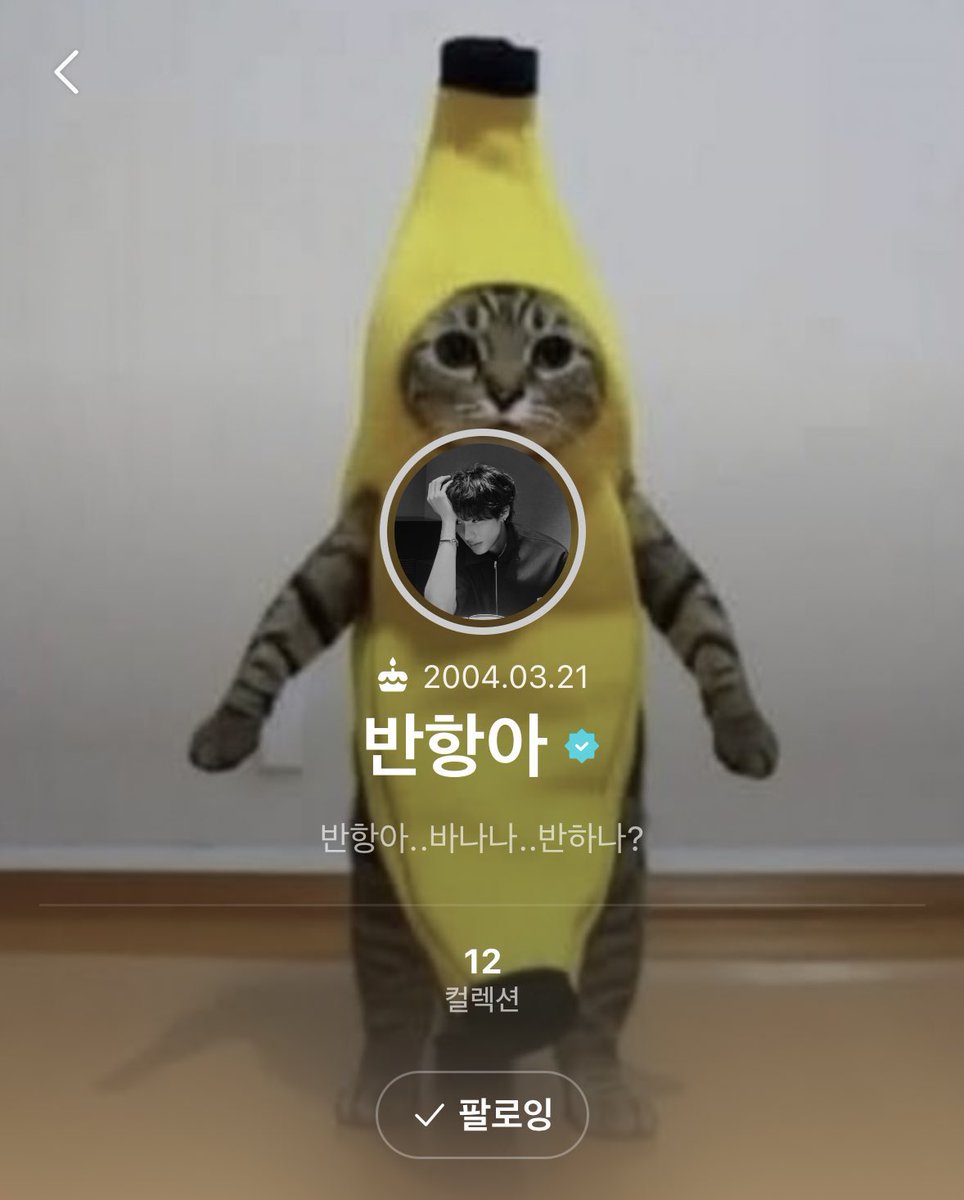 memoriton's tweet image. 반항아..바나나..반하나?