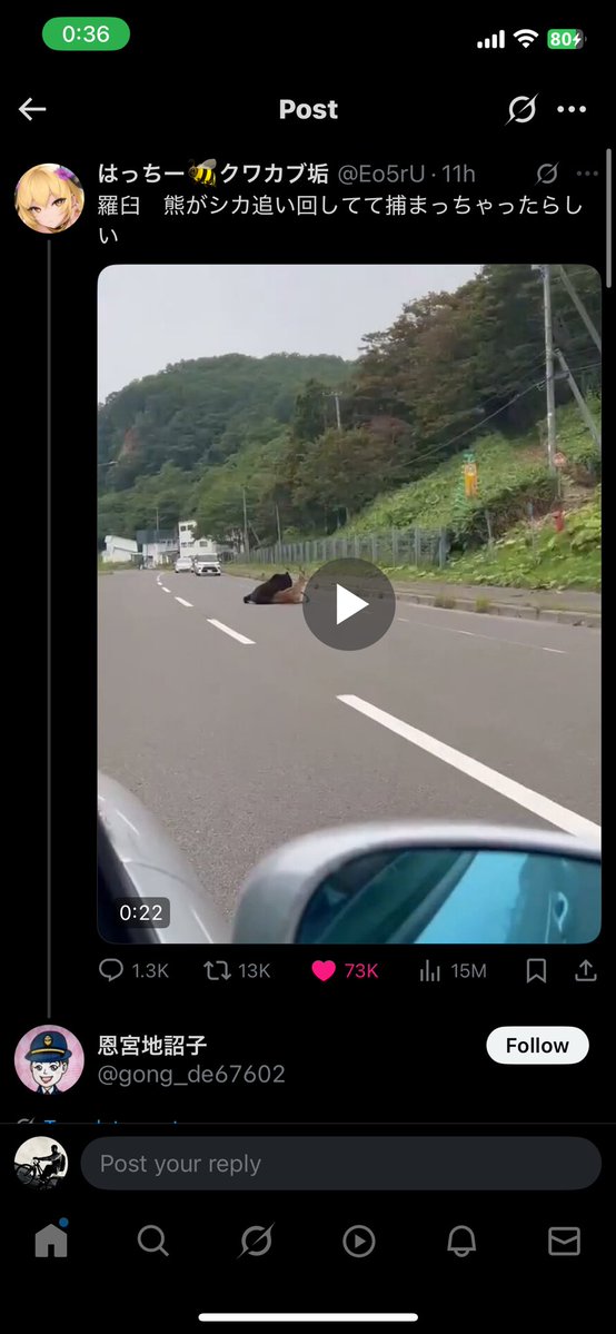 inaisetu's tweet image. 