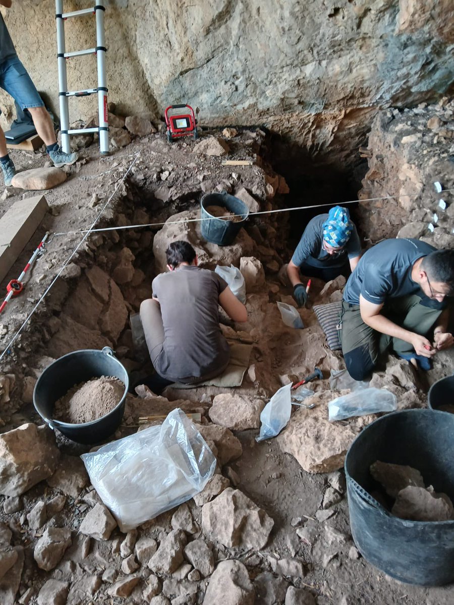 El passat divendres finalitzava la 3a campanya d'excavació en la #CovaForadada d'#Oliva ⛏️

🤠 La intervenció ha estat dirigida un any més per Alfred Sanchis (#Mupreva #SIP) i Aleix Eixea (#UV), al capdavant d'un equip format per diversos especialistes en #Paleolític

(1/3)👇