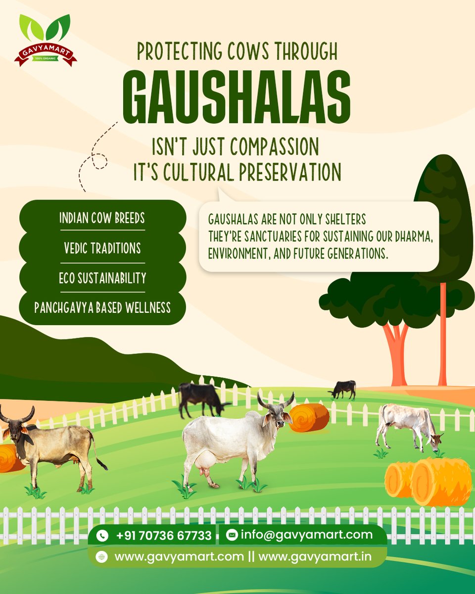 gavyamart's tweet image. 🌿 Protecting cows = preserving culture.
Gaushalas are sacred spaces that:
✅ Preserve native breeds
✅ Uphold dharma
✅ Support eco-living
Let’s honor them as they honor us.
#Gavyamart #SaveCows #Gaushala