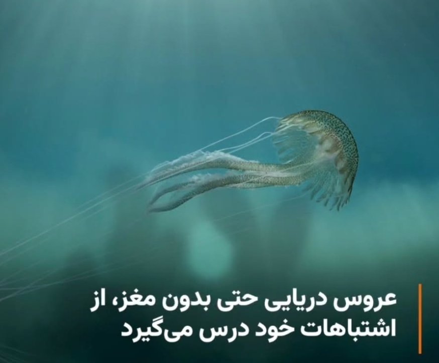 Milad417's tweet image. دیگه حرفی نمیمونه🗿