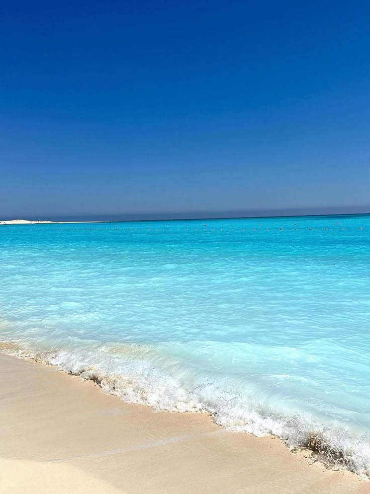 DrRani778897's tweet image. Egypt🇪🇬