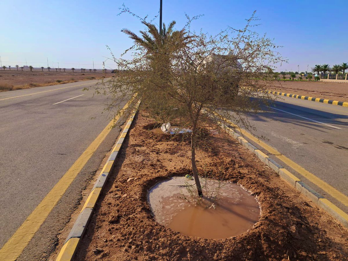 ummkhonsar's tweet image. 📸 |
جانب من أعمـالنا اليـومية في سقيا الأشجار في القرى التابعة .🌳
#بلدية_أم_خنصر
#أمانة_منطقة_الحدود_الشمالية