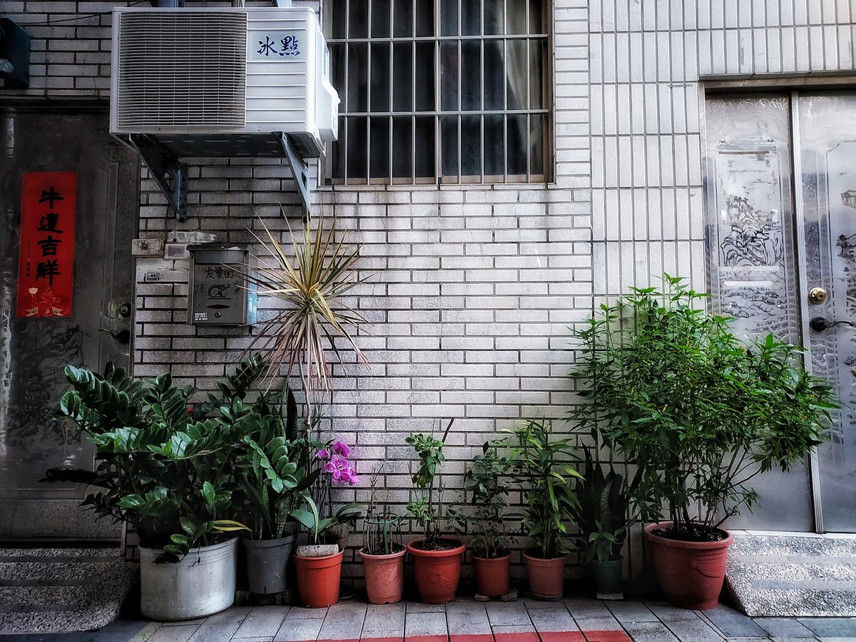 chaos or order 

#originalartwork #Taiwan #dailylife #streetsnap 
©️skinskin