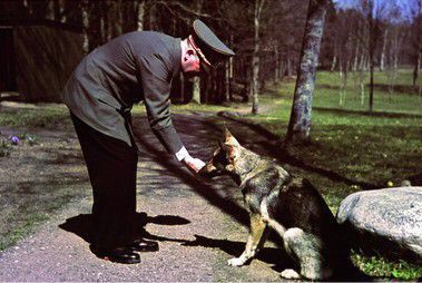SSICKNZ's tweet image. I just remembered that one of my ex&apos;s had a dog that if you call him a Jew he would bite you or something